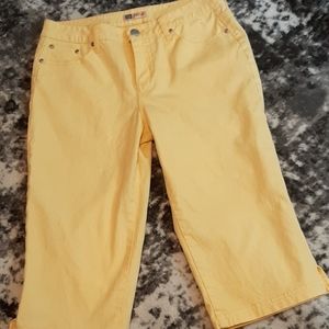 Faded Glory stretch capris